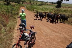 folding bike rider spots wildebeests in Tanzania