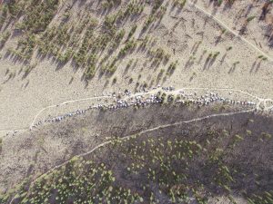 An aerial view of the Descend on Bend gathering