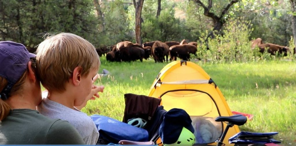 Patch safely encounters Buffalo