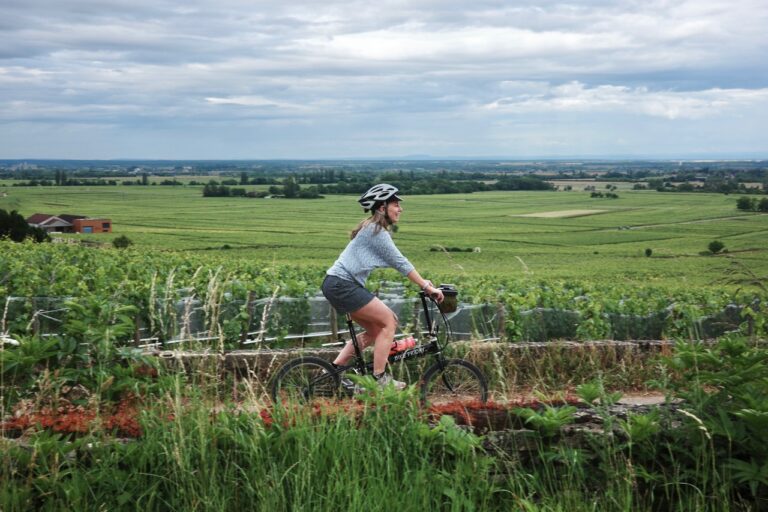Hills and Gravel in the Vineyards of Burgundy, France.