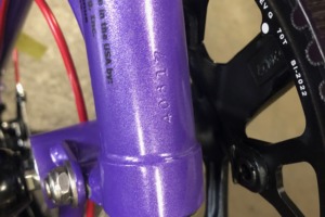 pakiT back of seat tube frame number purple