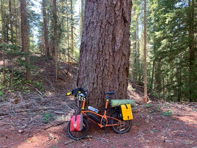 Tangerine Dream: My Bike Friday All-Day E-Bike Tour Across Oregon