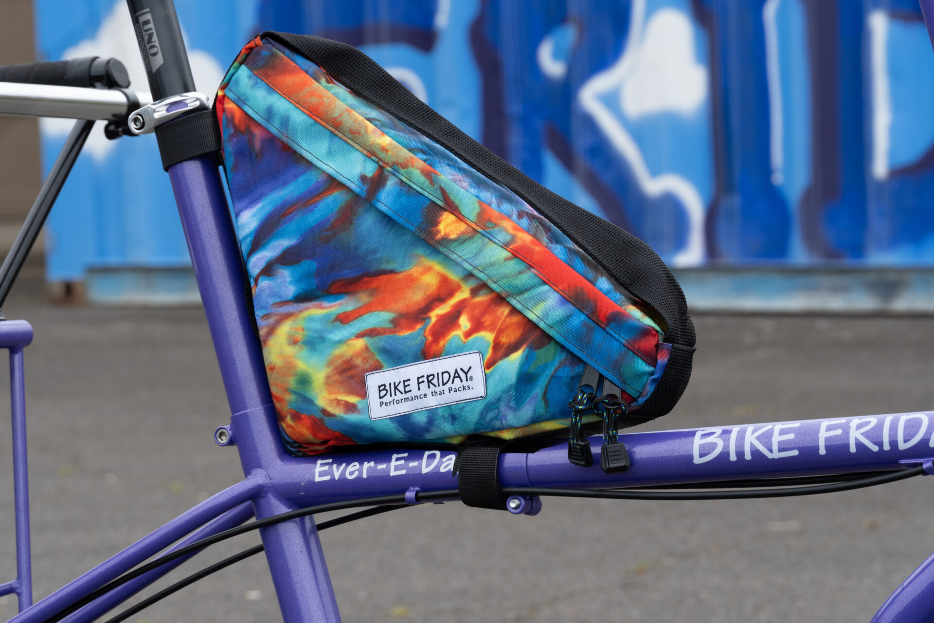 Birthday Bermuda Frame Bag (Special Edition) - Image 6